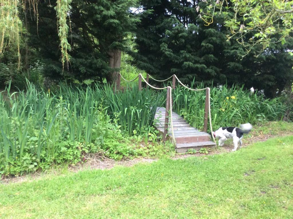 Valley Farmhouse, Westhall Redisham Bagian luar foto